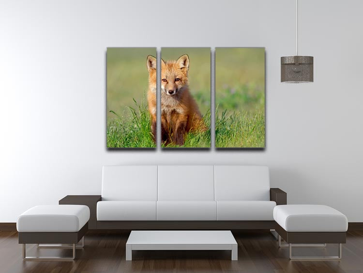 Fox Kit 3 Split Panel Canvas Print featuring three high-quality canvases with vibrant colors and intricate details, perfect for home decor.