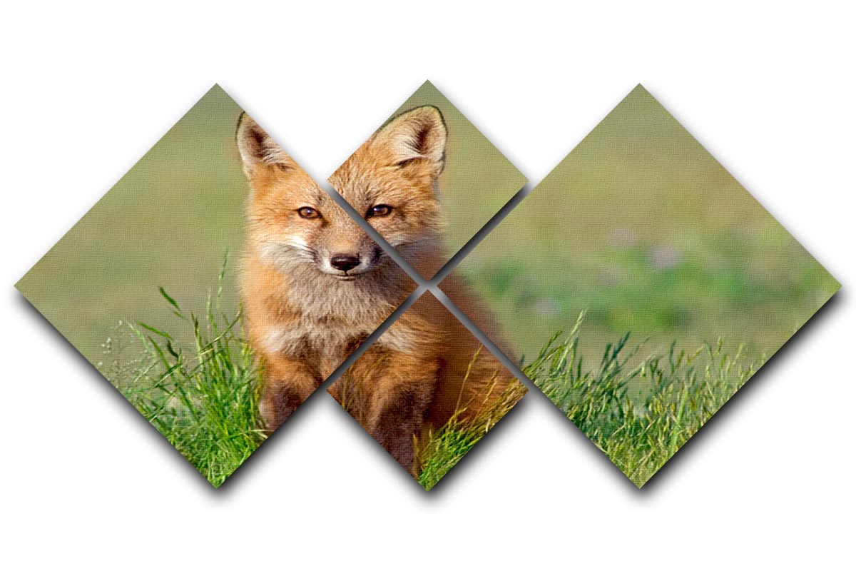 Fox Kit 4 Square Multi Panel Canvas artwork featuring a charming fox kit design divided into four equal panels.