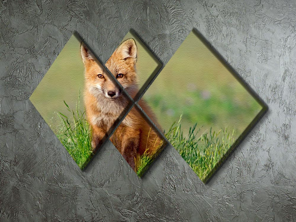 Fox Kit 4 Square Multi Panel Canvas artwork featuring a charming fox kit design divided into four equal panels.