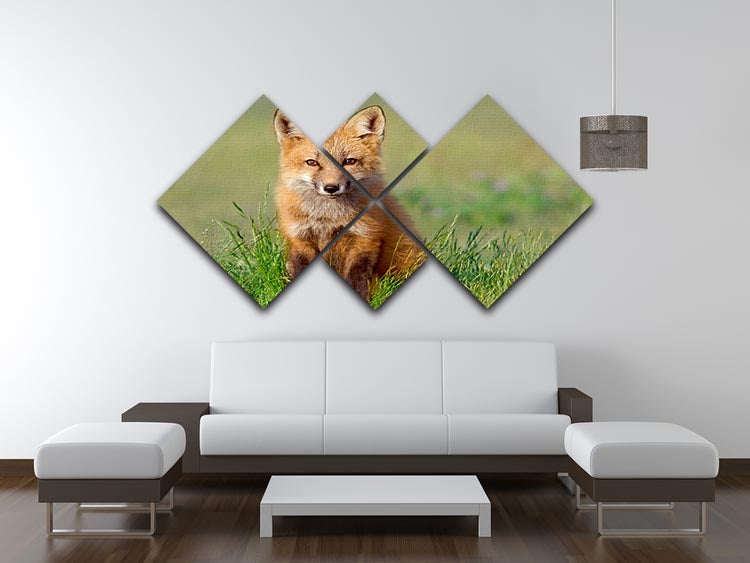 Fox Kit 4 Square Multi Panel Canvas artwork featuring a charming fox kit design divided into four equal panels.
