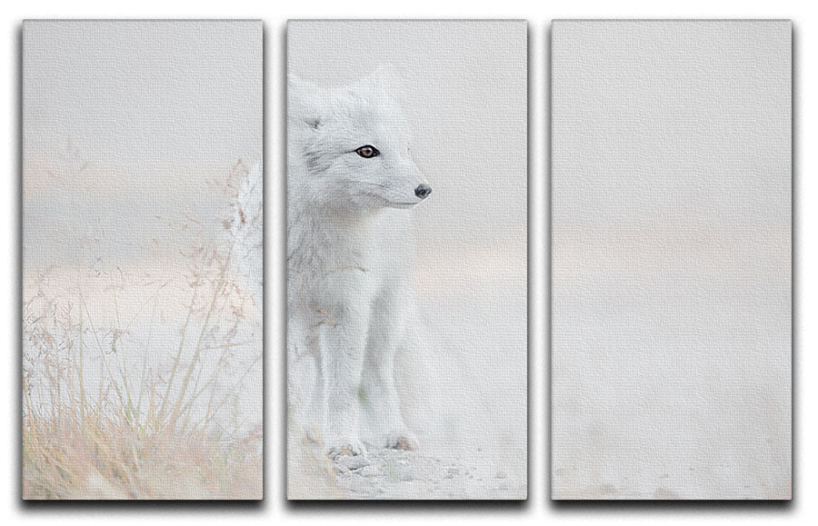A beautiful 3-panel canvas print featuring a fox looking around, showcasing vibrant colors and intricate details, perfect for home decor.