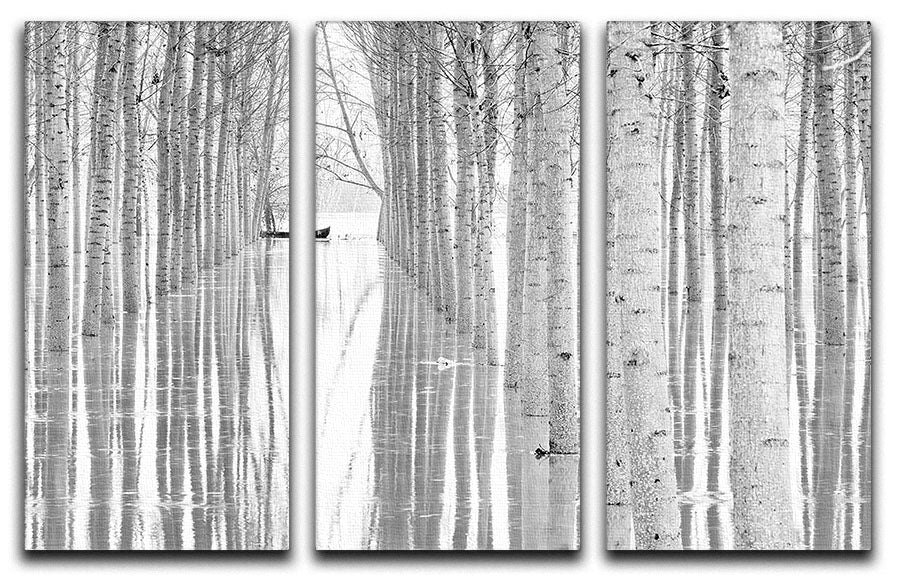 Three-panel canvas print featuring abstract art, enhancing modern decor.