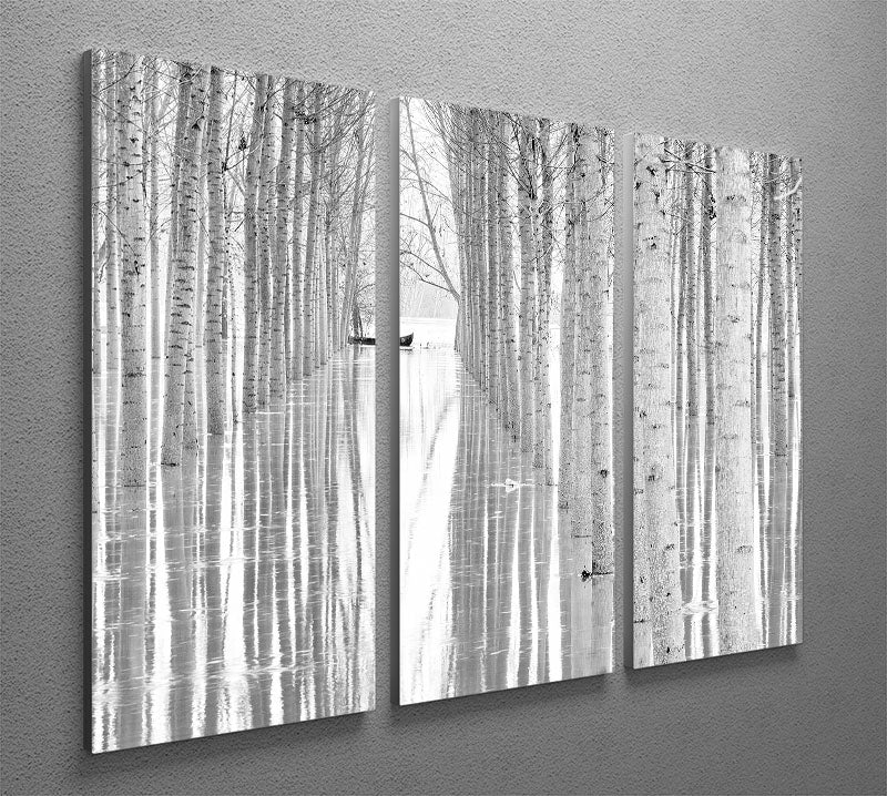 Three-panel canvas print featuring abstract art, enhancing modern decor.