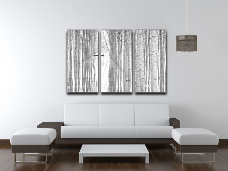 Three-panel canvas print featuring abstract art, enhancing modern decor.
