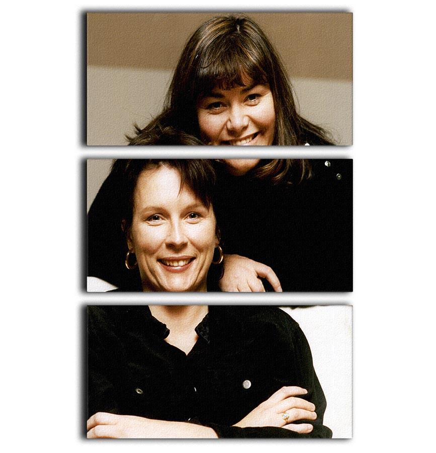 French and Saunders 3 Split Panel Canvas Print showcasing vibrant colors and elegant design, perfect for home decor.