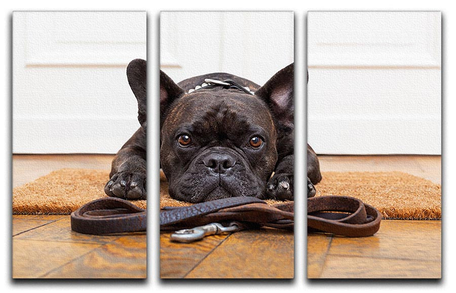 A charming 3-panel canvas art featuring a French bulldog eagerly waiting for a walk, showcasing vibrant colors and intricate details.