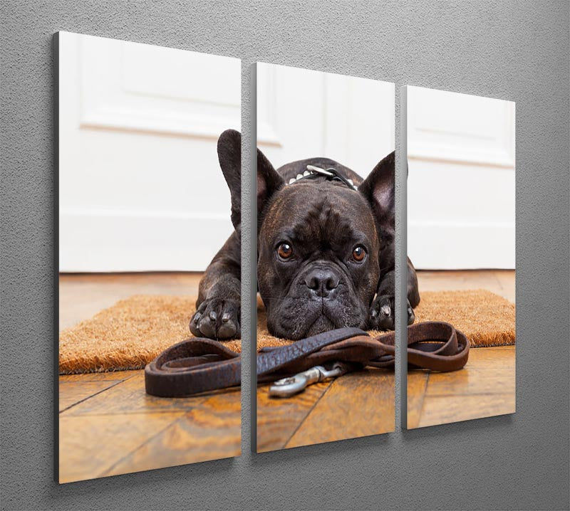 A charming 3-panel canvas art featuring a French bulldog eagerly waiting for a walk, showcasing vibrant colors and intricate details.