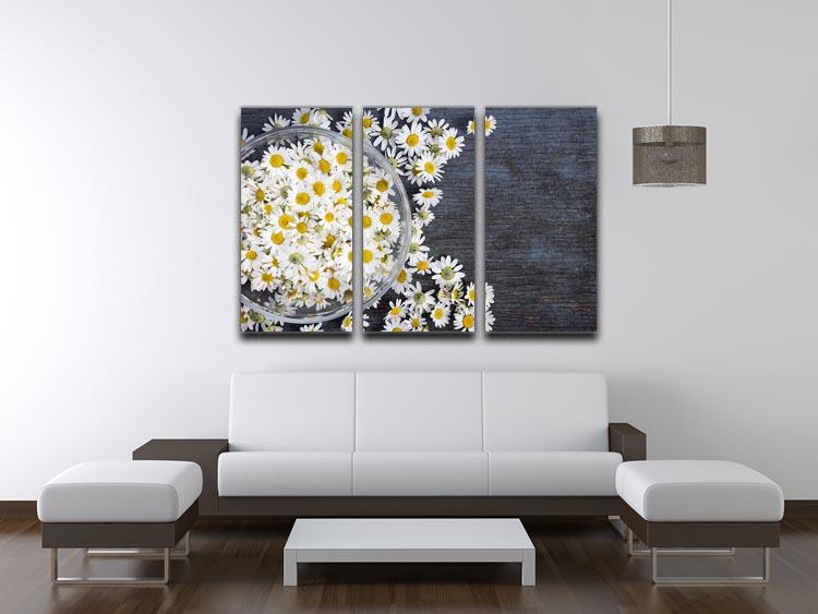 A beautiful 3-panel canvas print featuring fresh medicinal Roman chamomile flowers, showcasing vibrant colors and intricate details.