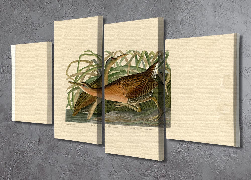 A beautiful 4-split canvas artwork featuring a Fresh Water Marsh Hen, showcasing vibrant colors and intricate details across four panels.