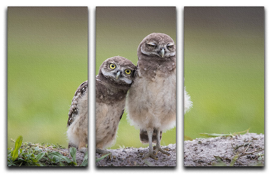 A beautiful 3-panel canvas print featuring Friends theme, showcasing vibrant colors and intricate details, perfect for home decor.