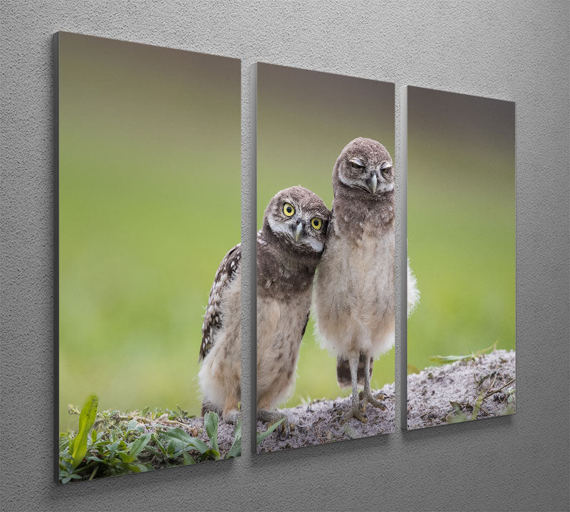 A beautiful 3-panel canvas print featuring Friends theme, showcasing vibrant colors and intricate details, perfect for home decor.