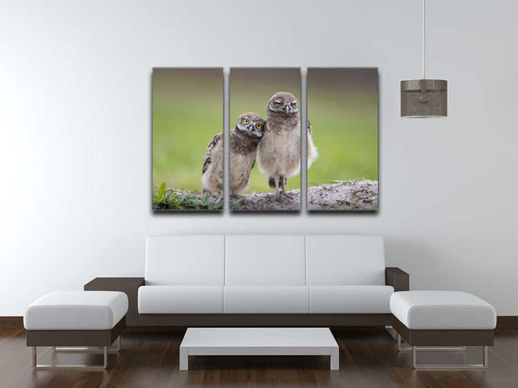 A beautiful 3-panel canvas print featuring Friends theme, showcasing vibrant colors and intricate details, perfect for home decor.