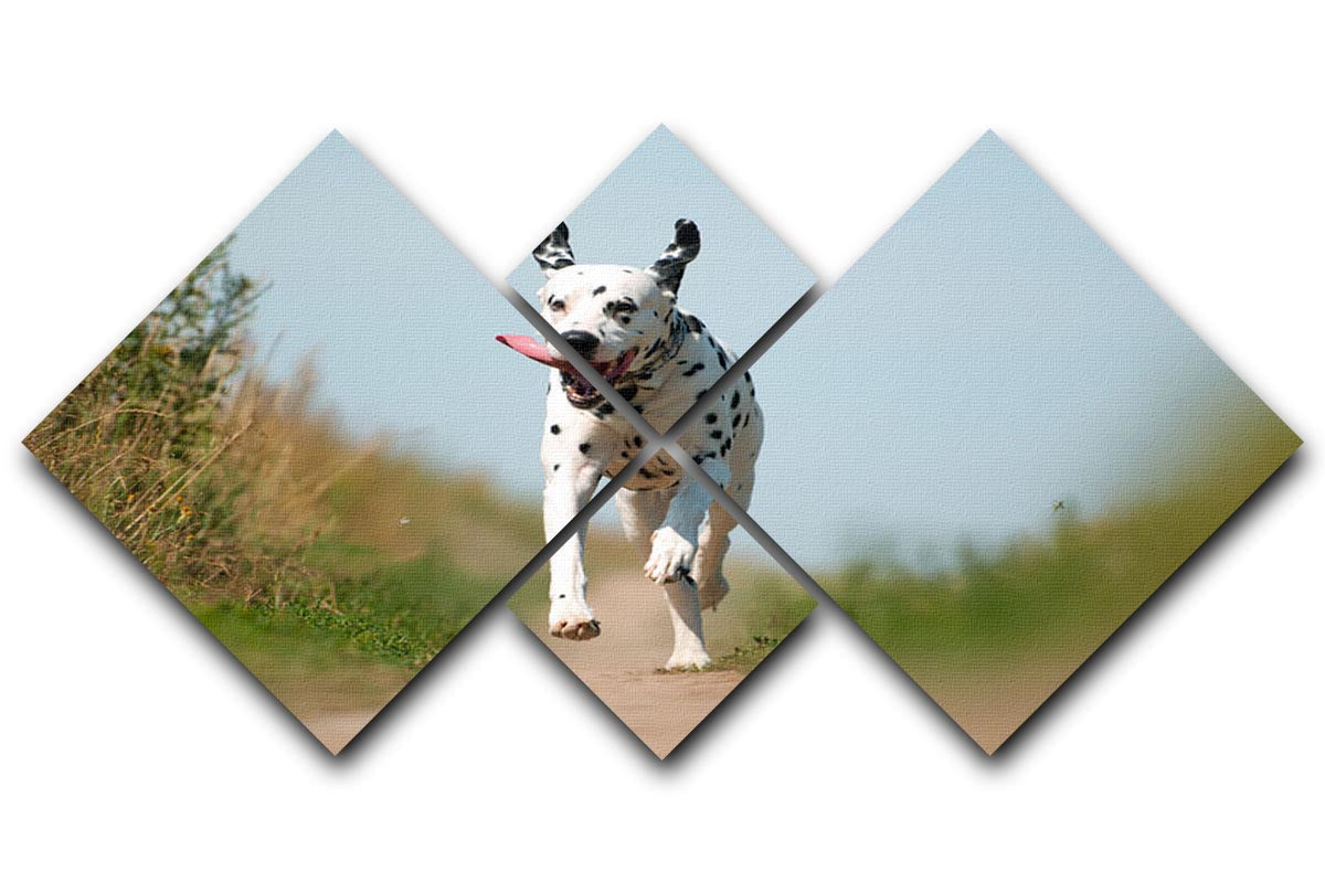 A vibrant 4-square canvas artwork featuring a Dalmatian dog running energetically, divided into four panels.