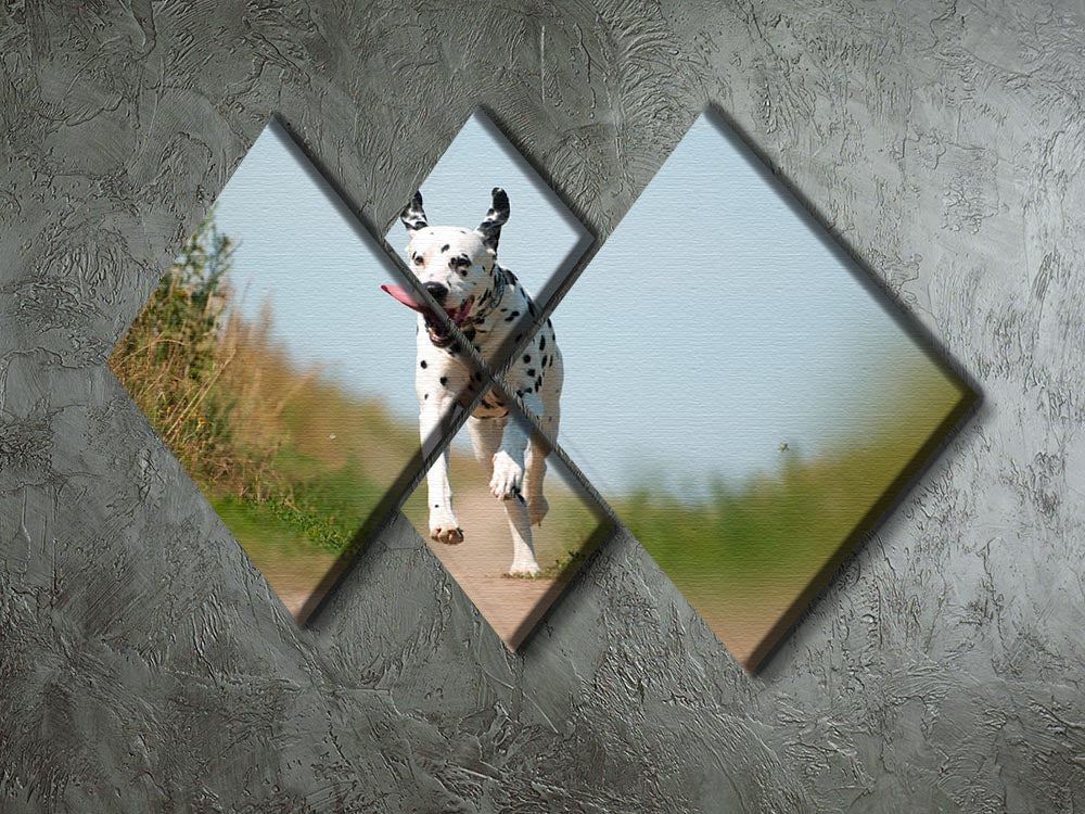 A vibrant 4-square canvas artwork featuring a Dalmatian dog running energetically, divided into four panels.