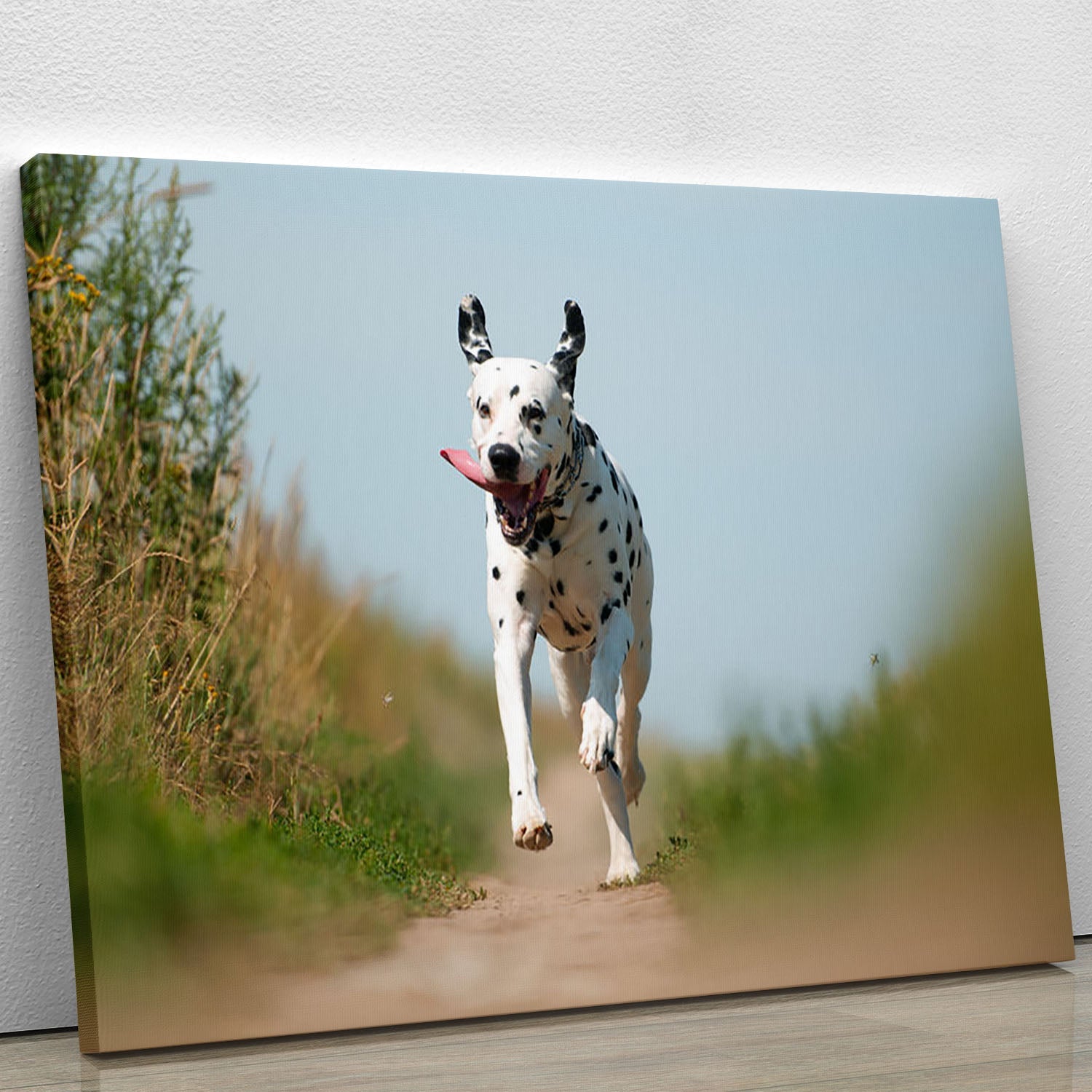 A vibrant canvas print of a Dalmatian dog running joyfully, showcasing its distinctive black and white spots.