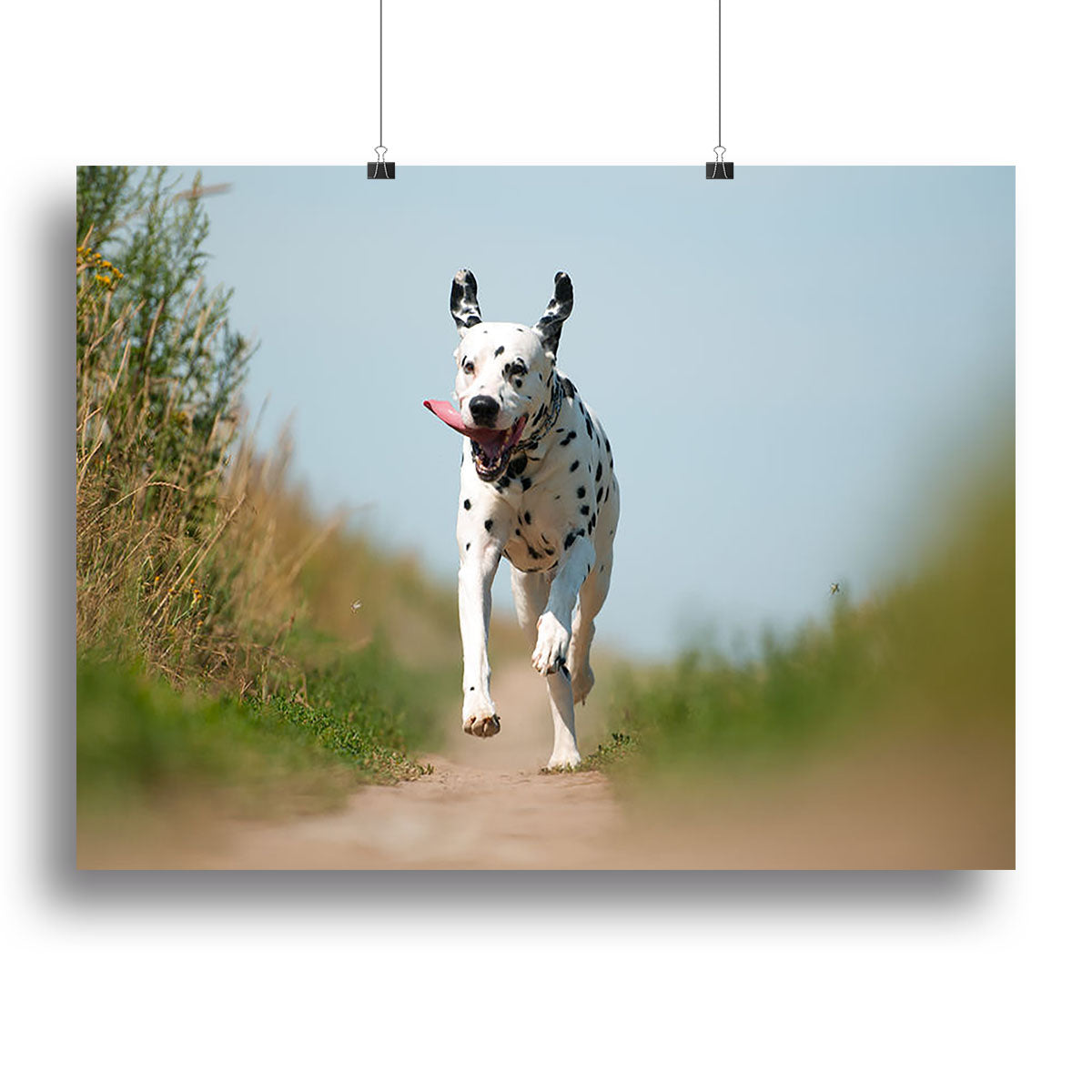 A vibrant canvas print of a Dalmatian dog running joyfully, showcasing its distinctive black and white spots.