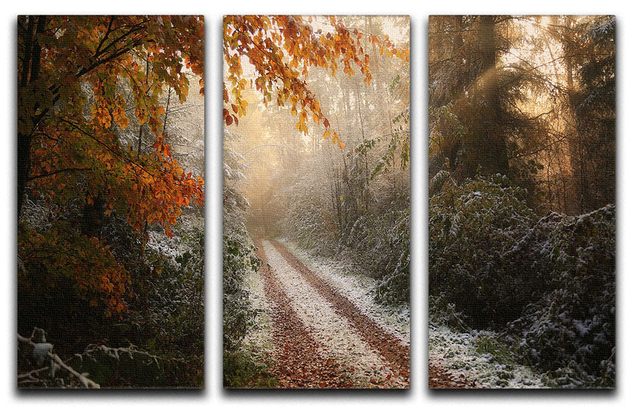 Frosty Fall 3 Split Panel Canvas Print featuring vibrant autumn colors and a serene landscape.