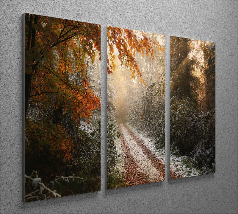 Frosty Fall 3 Split Panel Canvas Print featuring vibrant autumn colors and a serene landscape.