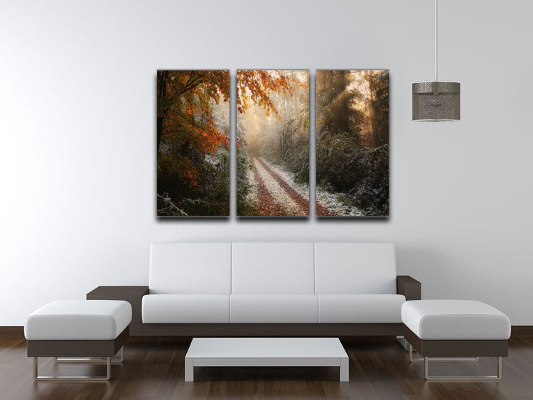 Frosty Fall 3 Split Panel Canvas Print featuring vibrant autumn colors and a serene landscape.