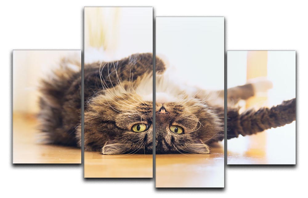 A 4-panel canvas artwork featuring a funny cat lying relaxed on its back, showcasing a playful and whimsical design.