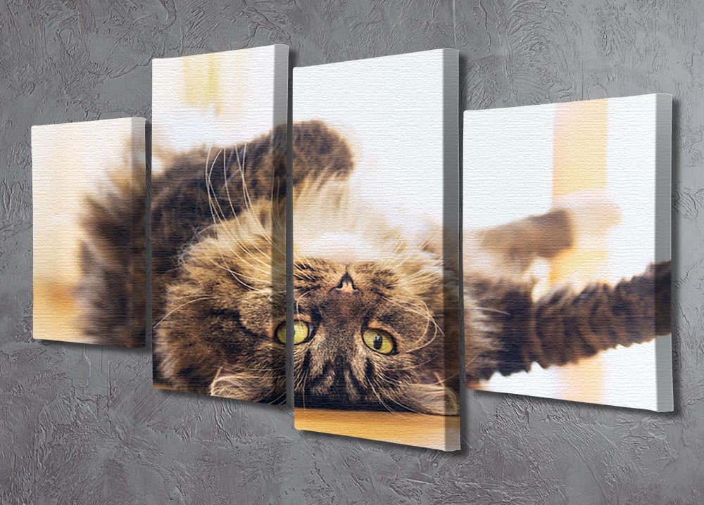 A 4-panel canvas artwork featuring a funny cat lying relaxed on its back, showcasing a playful and whimsical design.
