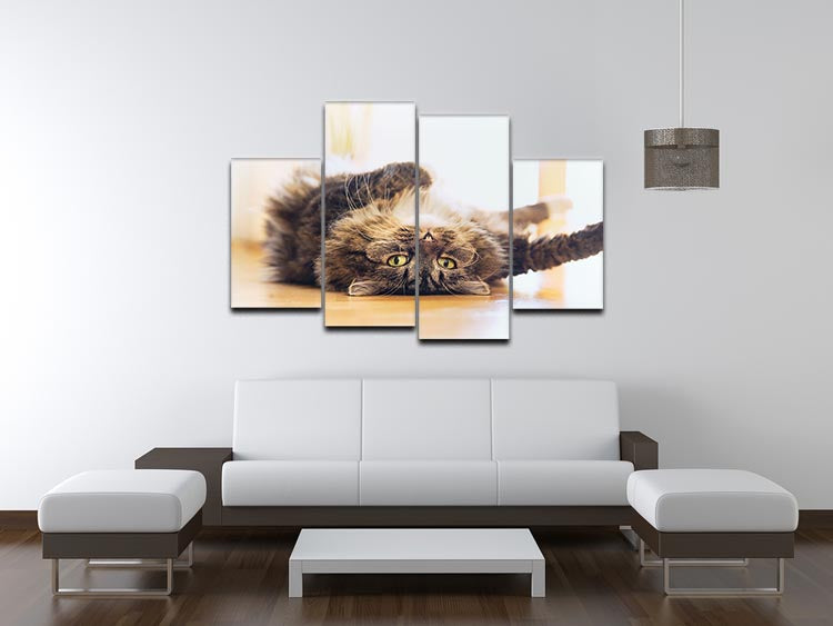 A 4-panel canvas artwork featuring a funny cat lying relaxed on its back, showcasing a playful and whimsical design.
