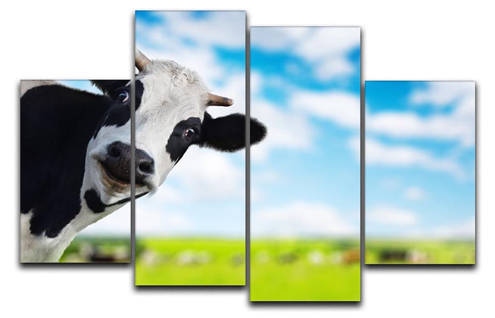 A humorous 4-panel canvas artwork featuring a cow looking directly at the camera, showcasing vibrant colors and playful expression.