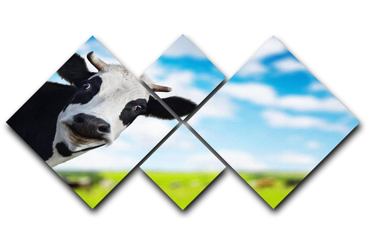 A humorous multi-panel canvas featuring a cow looking at the camera, divided into four equal squares.