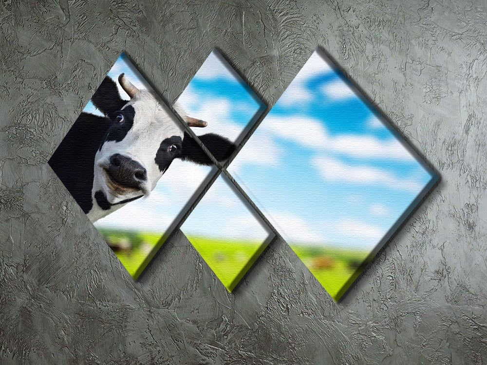 A humorous multi-panel canvas featuring a cow looking at the camera, divided into four equal squares.