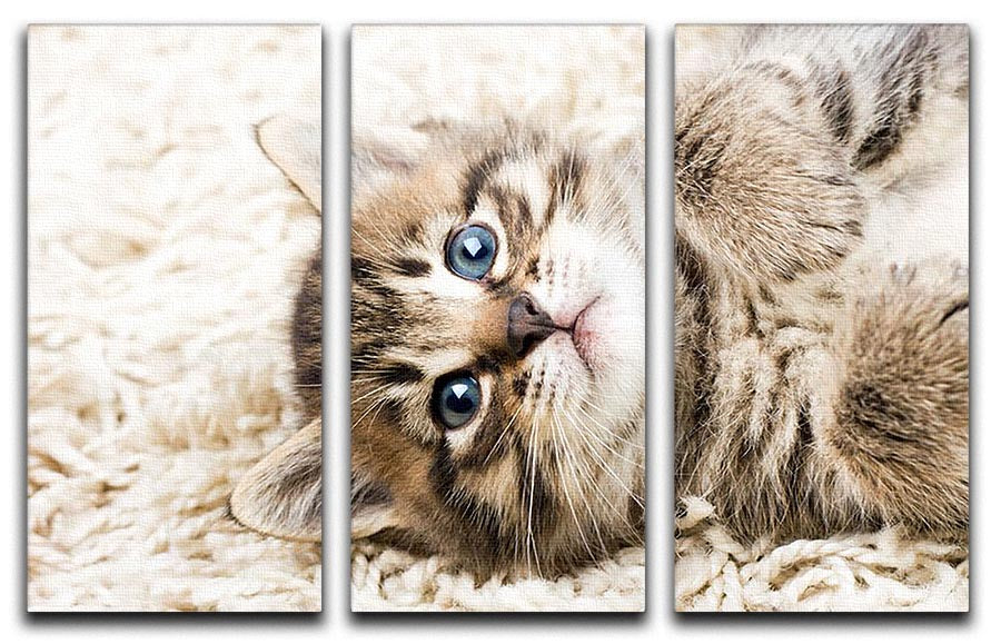 A charming 3-panel canvas print featuring a funny kitten on a carpet, adding a playful touch to home decor.