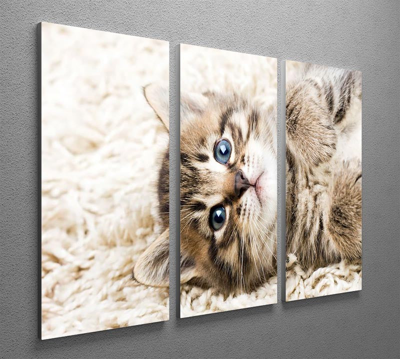 A charming 3-panel canvas print featuring a funny kitten on a carpet, adding a playful touch to home decor.
