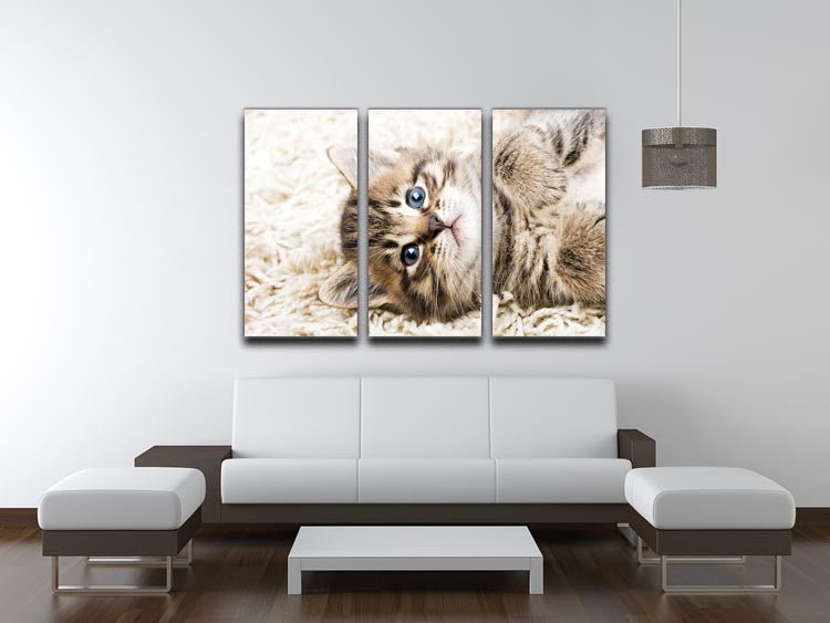 A charming 3-panel canvas print featuring a funny kitten on a carpet, adding a playful touch to home decor.