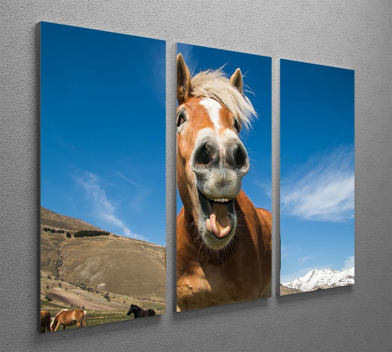 A humorous 3-panel canvas print featuring a horse with a crazy expression, perfect for home decor.