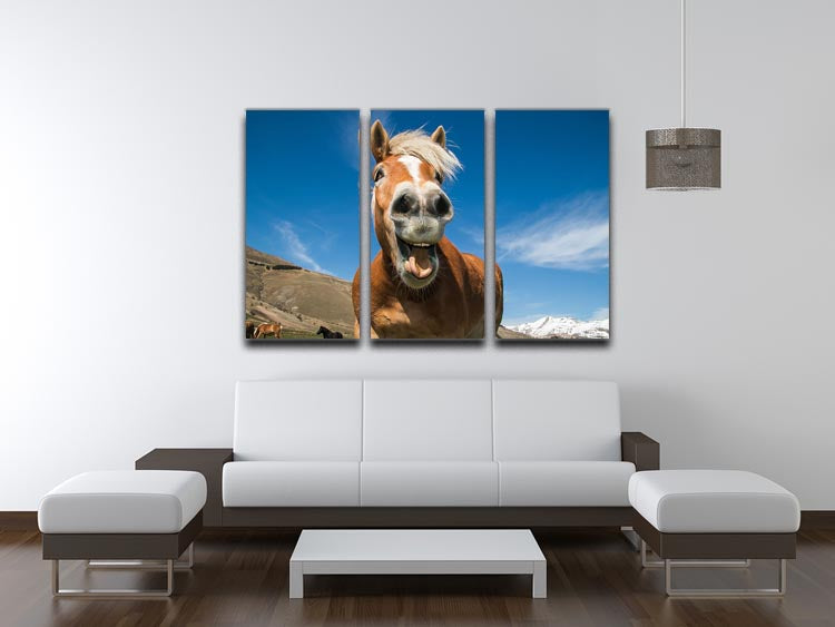 A humorous 3-panel canvas print featuring a horse with a crazy expression, perfect for home decor.