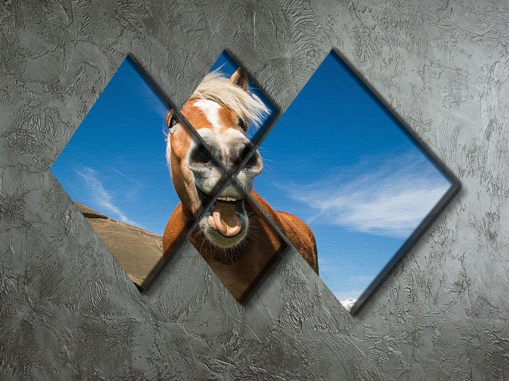 A multi-panel canvas featuring a horse with a funny expression, divided into four equal squares, showcasing vibrant colors and a whimsical design.