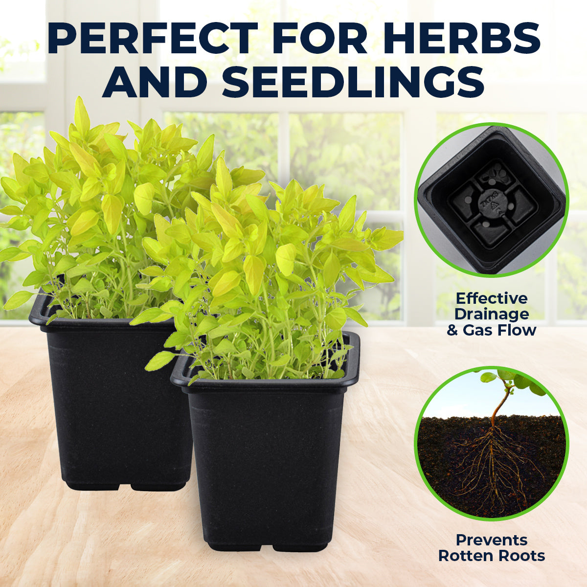 Garden Greens 720PCE Seedling Pots in black, showcasing their durable and reusable design, perfect for growing seedlings and herbs.