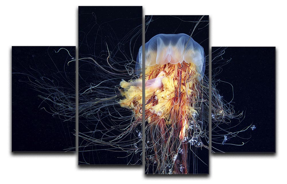 Giant Lion's Mane 4 Split Panel Canvas artwork showcasing a vibrant lion's mane design across four panels.