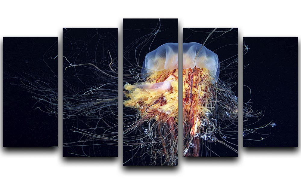 Giant Lion's Mane 5 Split Panel Canvas artwork showcasing a majestic lion's mane in vibrant colors across five panels.