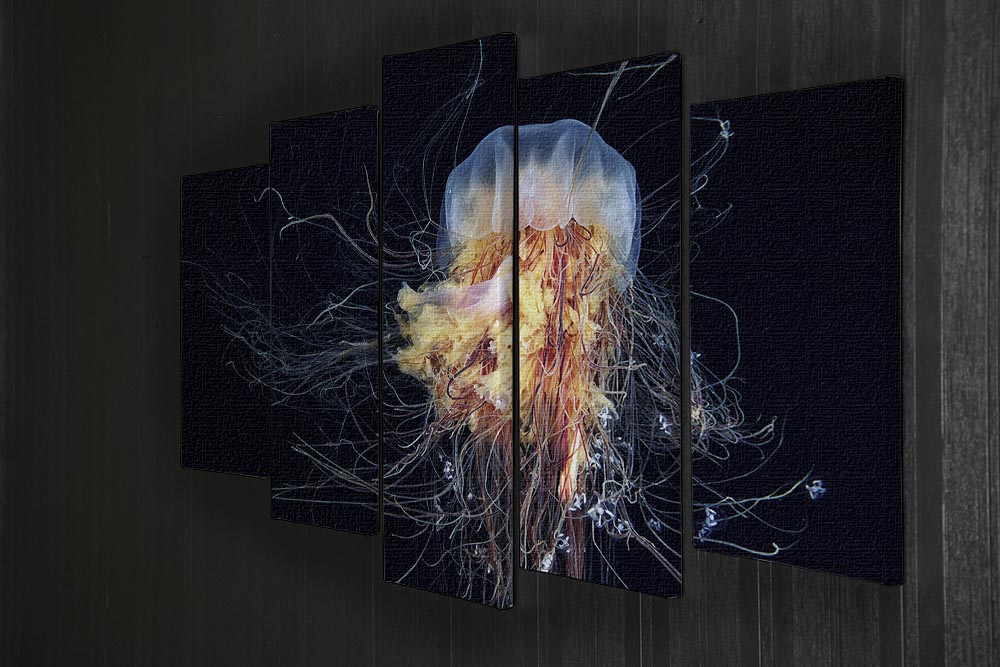 Giant Lion's Mane 5 Split Panel Canvas artwork showcasing a majestic lion's mane in vibrant colors across five panels.