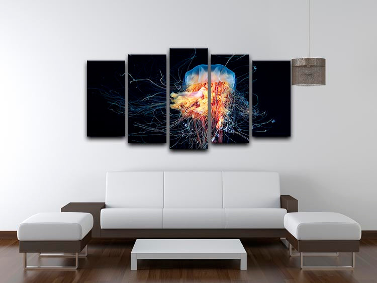 Giant Lion's Mane 5 Split Panel Canvas artwork showcasing a majestic lion's mane in vibrant colors across five panels.