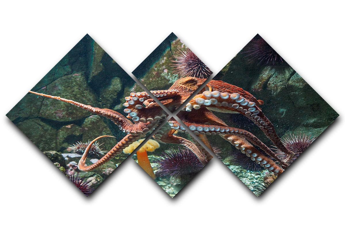 A vibrant multi-panel canvas artwork featuring a Giant Pacific octopus, divided into four equal square sections.
