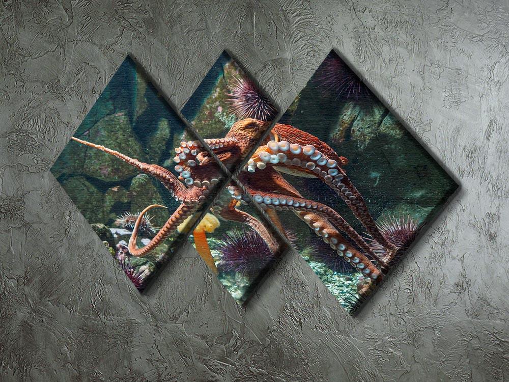 A vibrant multi-panel canvas artwork featuring a Giant Pacific octopus, divided into four equal square sections.