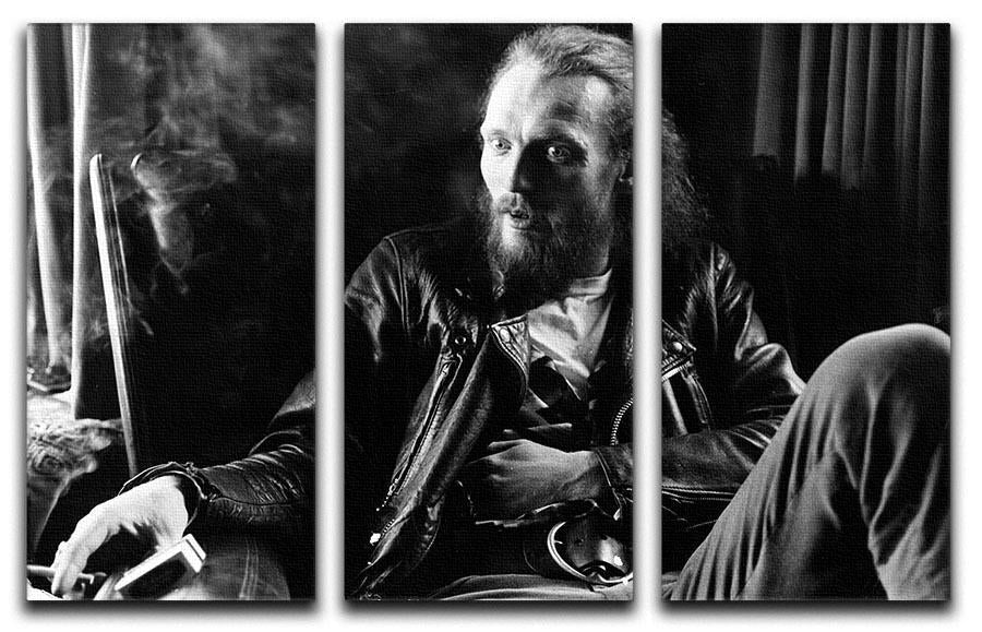 Ginger Baker 3 Split Panel Canvas Print showcasing vibrant colors and intricate designs, perfect for enhancing any living space.