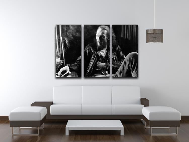 Ginger Baker 3 Split Panel Canvas Print showcasing vibrant colors and intricate designs, perfect for enhancing any living space.