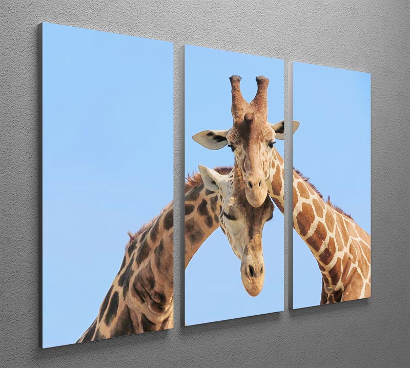 A beautiful 3-panel canvas art featuring a giraffe couple in love against a blue sky background, perfect for home decor.