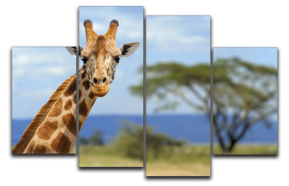 A beautiful 4-split canvas artwork featuring a giraffe in front of Amboseli National Park, showcasing vibrant colors and stunning details.