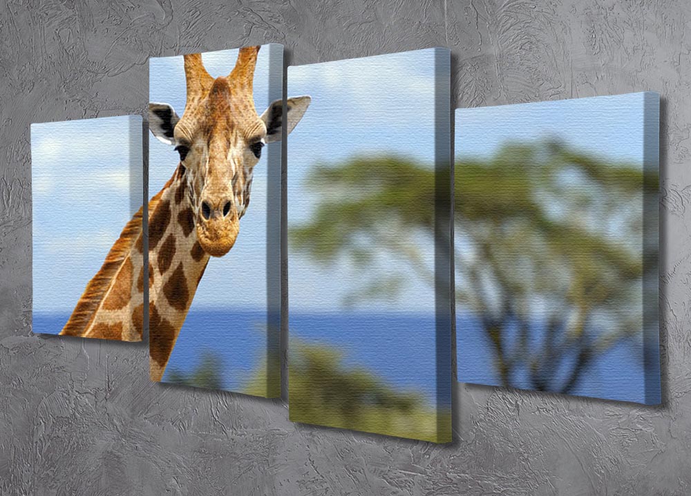 A beautiful 4-split canvas artwork featuring a giraffe in front of Amboseli National Park, showcasing vibrant colors and stunning details.