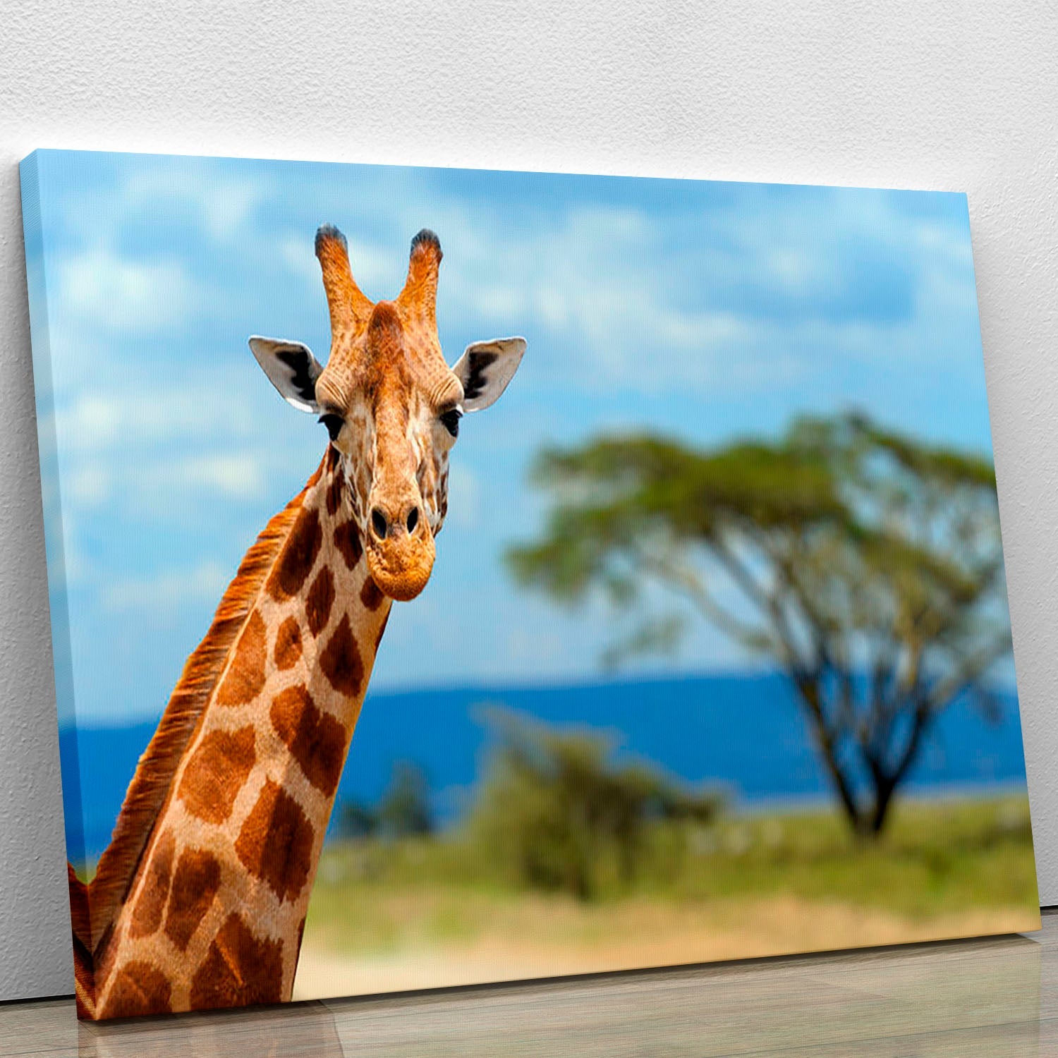 A beautiful canvas print featuring a giraffe in front of Amboseli National Park, showcasing the stunning African landscape.