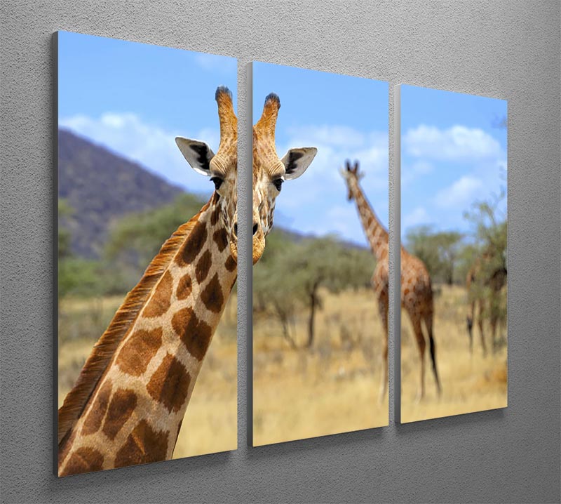 A beautiful 3-panel canvas print featuring a giraffe in the Kenyan national park, showcasing vibrant colors and intricate details.