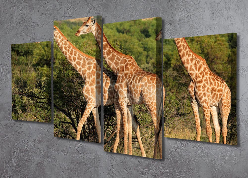 A beautiful 4-split canvas artwork featuring a giraffe in its natural habitat in South Africa, showcasing vibrant colors and intricate details.